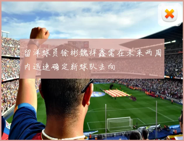 留洋球员徐彬魏祥鑫需在未来两周内迅速确定新球队去向