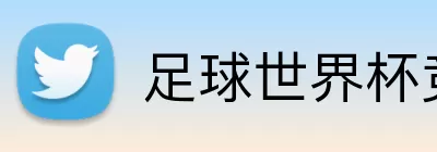 足球世界杯竞猜网站 Logo